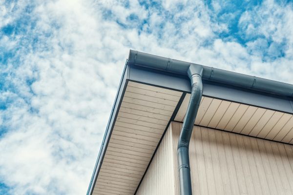 Gutter Fascia Repair in Pasco
