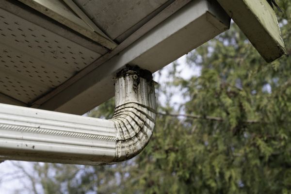 Cost of Roof Drain Replacement in Pasco