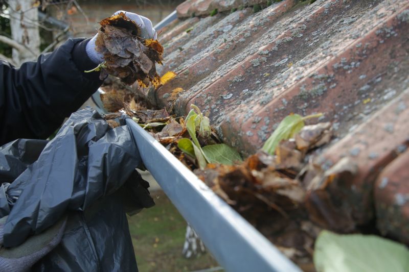 Choosing the Right Gutter Service